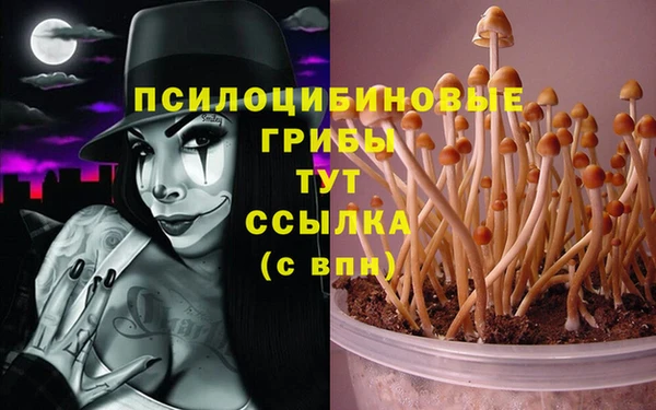 ешки Верея