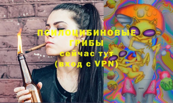 ГАЛЛЮЦИНОГЕННЫЕ ГРИБЫ Верхнеуральск