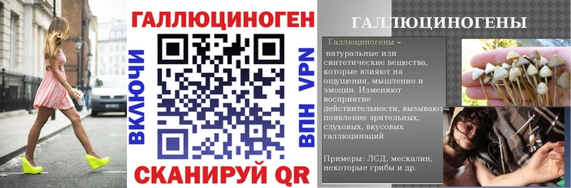 магазин продажи   Камешково  Псилоцибиновые грибы Psilocybe 